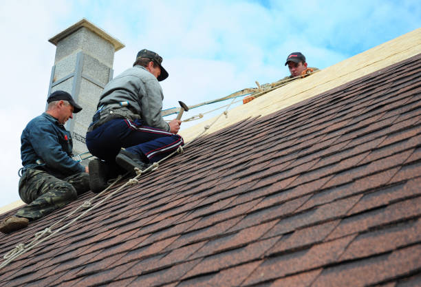 Best Storm Damage Roof Repair  in Oran, MO